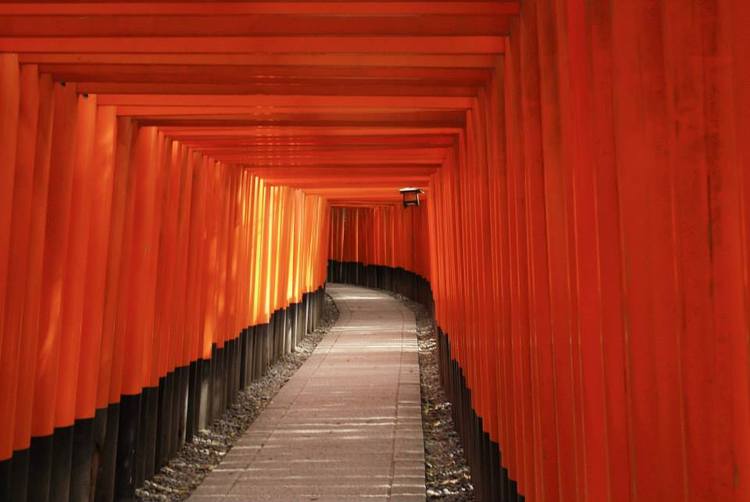 Fushimi Inari in Kyoto, Japan